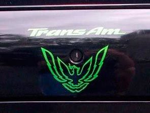 Set Kofferbakslot Vogelstickers voor Pontiac Firebird Trans Am WS6