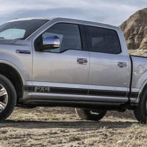 Ford F-150 2015-2018 mk13 FX4 sticker met grafische zijstreep