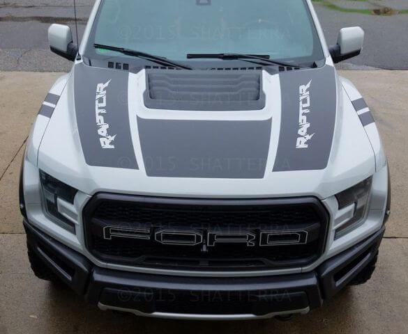 Dubbele motorkapgrafiek Vinylstreep Predator Svt Rph-003 Sticker voor Ford F-150 Raptor