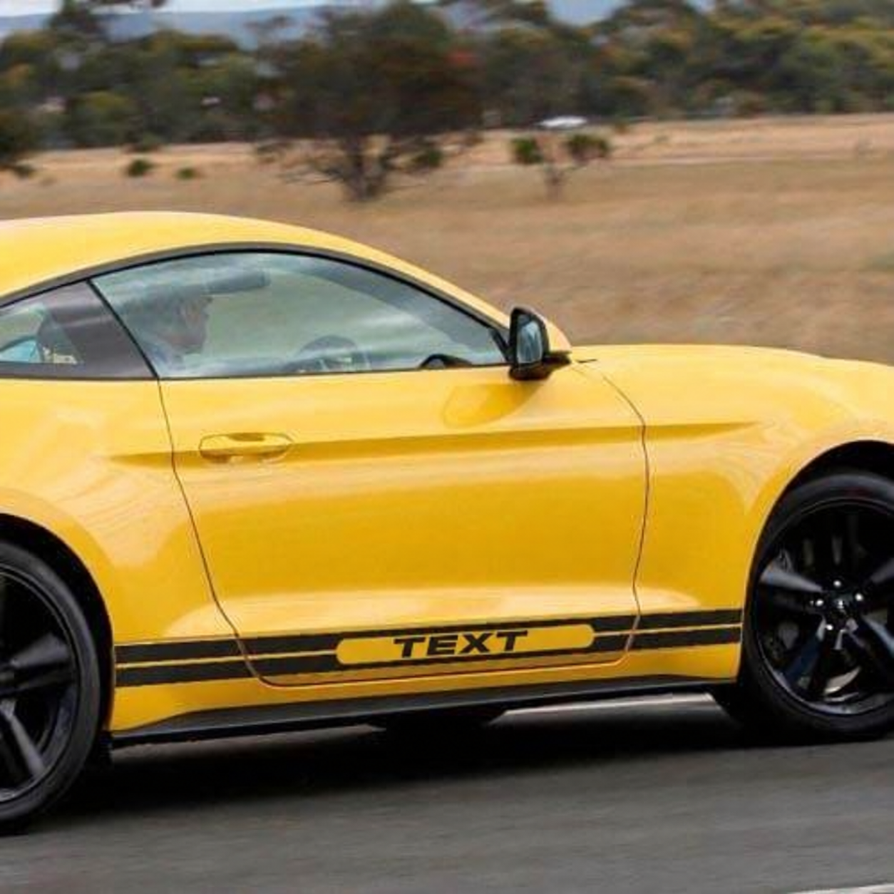 Aangepaste Tekst Retro Zijstreep Grafische Sticker Decal voor Musclecar Musclecarmodel 6e Gen 2013-2020