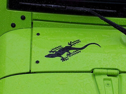 Gecko zijvinylsticker set voor Jeep Wrangler
