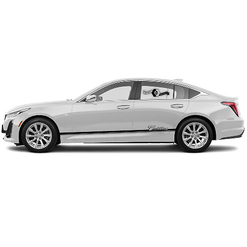2 Nieuwe Decal Sticker Stijlvolle Rocker Panel Accent Slim Trim lijn Zijvinyl Decal voor Cadillac CT5
