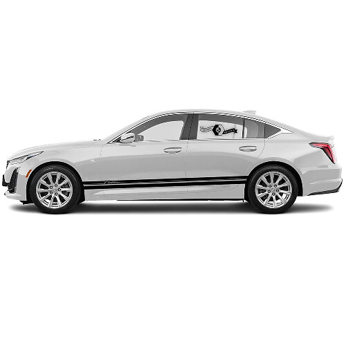 2 Nieuwe Decal Sticker Stijlvolle Rocker Panel Accent split Stripe vinyl Decal voor Cadillac CT5
