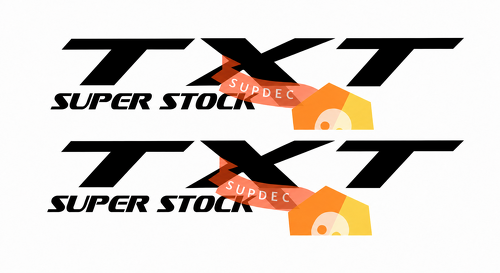 TXT Super Stock Lettering — Vinylsticker (zijkant) voor Dodge Charger SRT