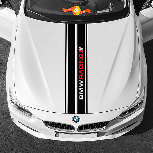 Vinylstickers Grafische Stickers bmw motorkap in het midden BMW racing palette 2022
