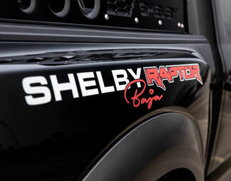 Paar Ford F-150 Raptor Shelby Baja Edition zijbed achterspatbord grafische sticker sticker
