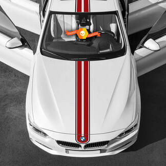 BMW Hood 2 kleuren carrosseriestickers stickers staart dak kap zijkant strepen stickers
