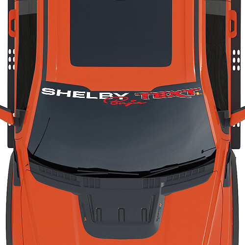 Voorruit Baner Ford F-150 Raptor Shelby Raptor Baja Edition grafische sticker
