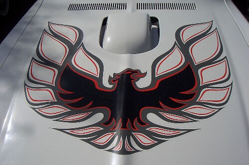 Bird kap vinyl sticker voor Pontiac Firebird Trans Am