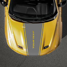 Taperende Outline Stripe Aangepaste Tekst Motorkap Vinyl Sticker voor Dodge Hornet_2
