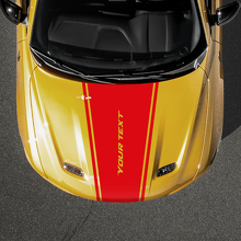 Taperende Outline Stripe Aangepaste Tekst Motorkap Vinyl Sticker voor Dodge Hornet_3