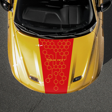 Honeycomb Custom Tekst Motorkapstreep Vinyl Sticker voor Dodge Hornet_2