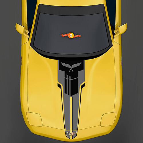 Chevrolet Corvette C5 2 kleuren strepen met Jake Skull-stickers
