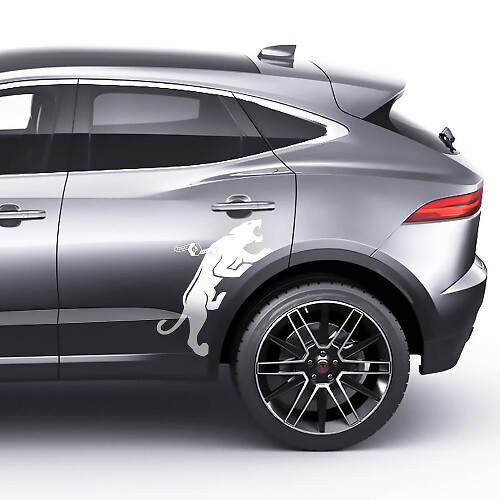 Jaguar Achterzijde Wielboog Grafische sticker Logo

