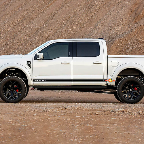 Paar Ford F-150 Raptor SHELBY zijdeuren lijnen Graphics Set Logo Streep Sticker sticker
