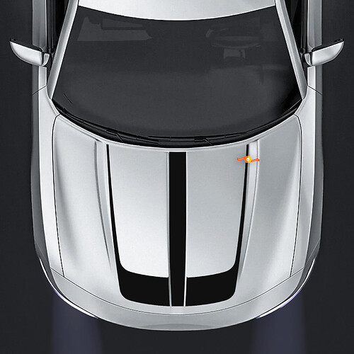 Dodge Charger Hood Accent Center Decal Stickers Grafisch past op modellen 2015 - 2020
