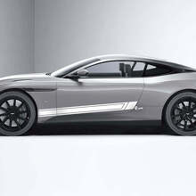 Zijdeursstreep Vinyl Stickers 3 Voor Aston Martin DB11 2