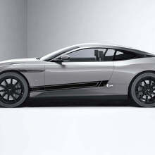 Zijdeursstreep Vinyl Stickers 3 Voor Aston Martin DB11 3