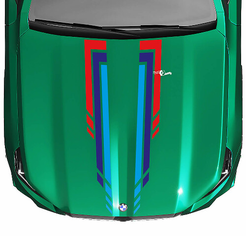 L Stripes Racing Checkered Hood-sticker voor BMW 5-serie G60 M5 G90
