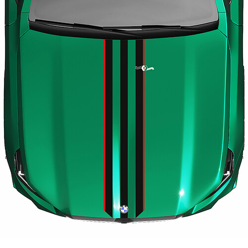 Stripes Racing Hood-sticker voor BMW 5-serie G60 M5 G90
