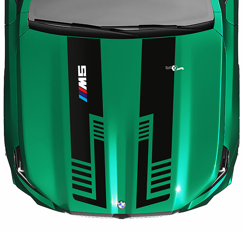 Stripes Racing geruite vlag of strobe look kapsticker voor BMW 5-serie G60 M5 G90
