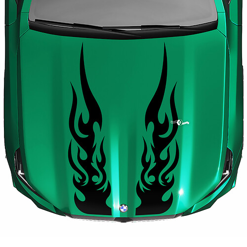 L Stripes Racing Checkered Hood-sticker voor BMW 5-serie G60 M5 G90
