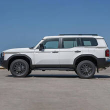 Zijdeuren Accentstrepen Decals Vinylstickers Grafisch 2 Voor Toyota Land Cruiser 3