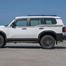 Toyota Land Cruiser Zijdeuren Accentstrepen Decals Vinyl Stickers Grafisch 2
 3