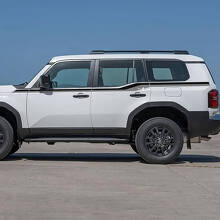 Toyota Land Cruiser Zijdeuren Accentstrepen Decals Vinyl Stickers Grafisch 2 kleuren
 2