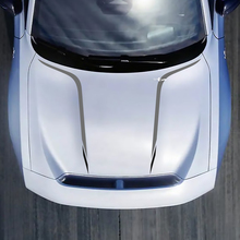 Hood Accent Decal Sticker voor Dodge Charger Electric
 2