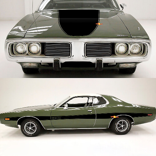 Accent Kap en Zijstrepen Vinyl Decal Set voor Dodge Charger 1973-74