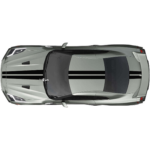 Volledige Body Dubbele Racing Strepen Sticker Kit 2 voor Nissan GT-R