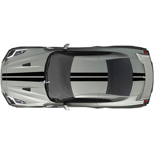 Full Body Dual Racing Stripes Decal Kit voor Nissan GT-R
