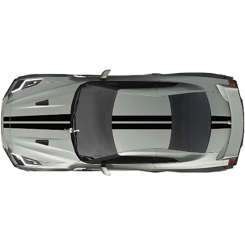 Volledige carrosserie Dual Racing Stripes Decal Kit voor Nissan GT-R in één kleur
