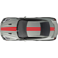Full Body Dual Racing Stripes Decal Kit voor Nissan GT-R
 3