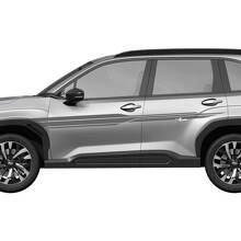 Zijdeur Strepen Racestrepen Vinyl Decal - Grafische Sticker universele pasvorm Suba Forester 1
 2