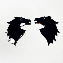 Bronco Fender Badges Tailgate Emblem 3D Badge
 10