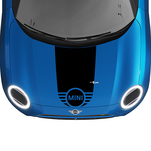 Mini Hood Racing Central Stripe Rally Decal grafische sticker voor Mini Cooper
