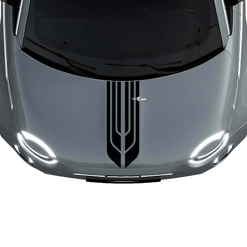 500 Dubbele Centrale Motorkap Streep Decal Sticker Grafische voor Fiat 500
