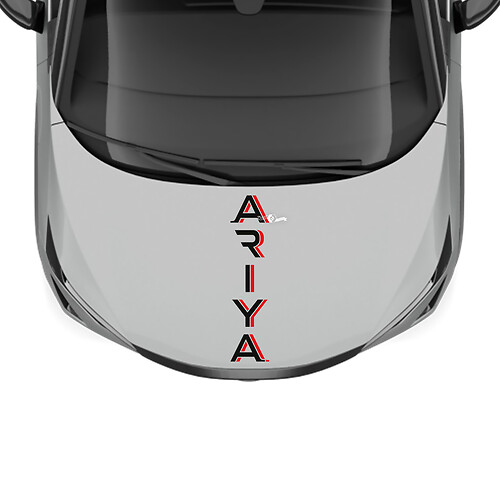 Motorkap met dubbele kleuren streep race-graphics sticker voor Nissan ARIYA
 1