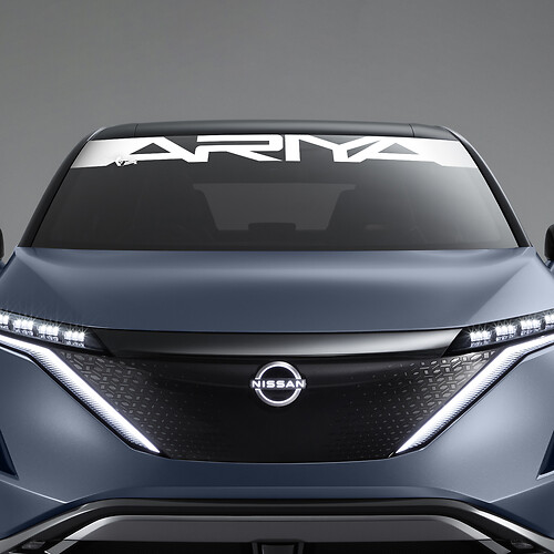 Achterruit ARIYA Graphics-sticker voor Nissan ARIYA
 1
