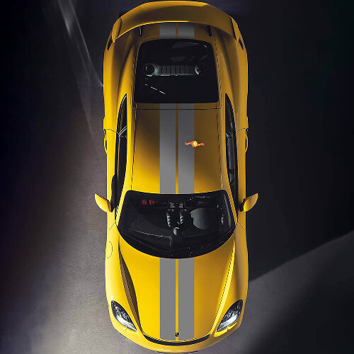 Dubbele motorkap dakstrepen sticker voor Porsche Cayman 718
