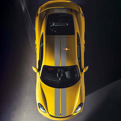 Dubbele Racing Strepen Motorkap en Dak Vinyl Sticker Kit voor Porsche Cayman 718