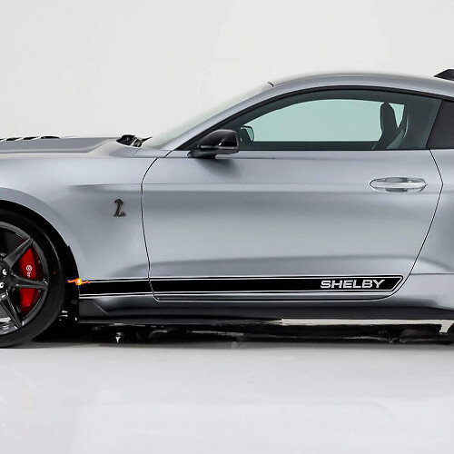 Shelby Rocker Paneel Strepen Vinyl Decals Kit voor Musclecar Musclecarmodel
