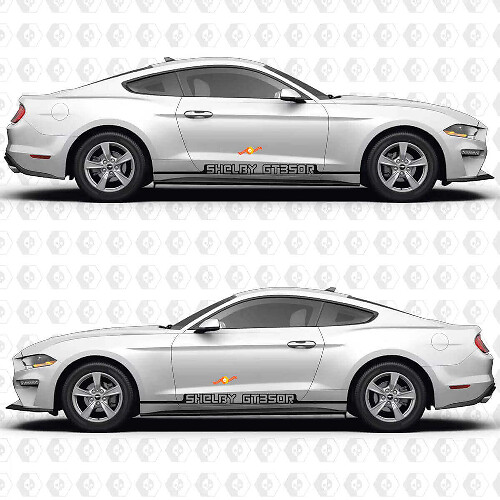 Shelby GT350R Strepen Zijdeur Vinyl Decal Kit voor Musclecar Musclecarmodel S550_1