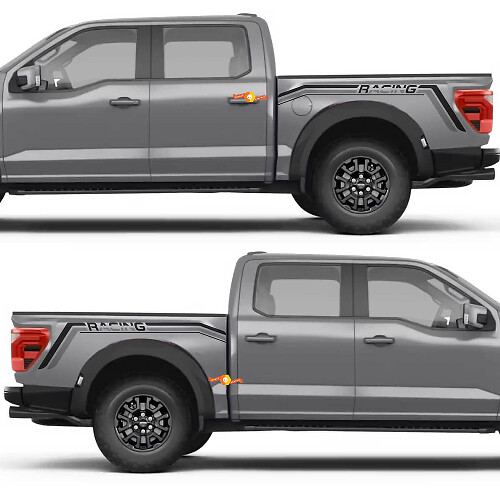 Two Tone Bed Stripe Rear Fender Vinyl Decal Sticker for Ford F-150
