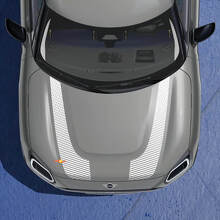 Twin Racing Zijkap Strepen Decal Sticker voor Mini Cooper Countryman 2