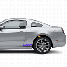Racegeblokte stijl zij vinylstickers voor Musclecar 2010-2020_2