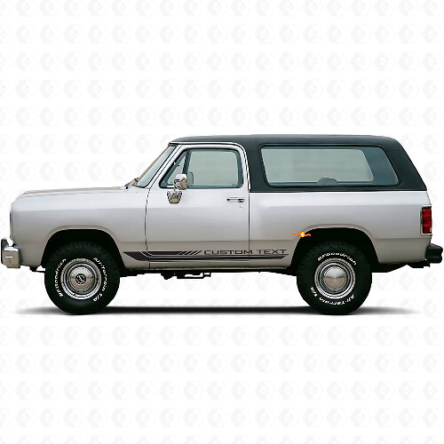 Ruitpatroon Gebogen Strepen Rocker Panel Vinyl Sticker Decal voor Dodge Ramcharger 1974-1993 1