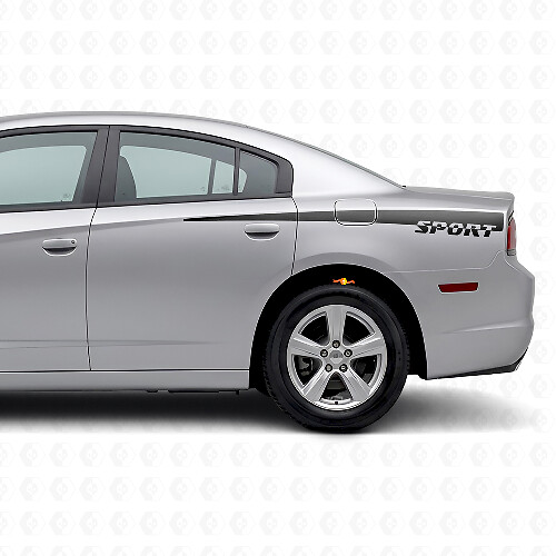 Sportieve zijstrepen vinyl decal voor Dodge Charger 2011-2014_1